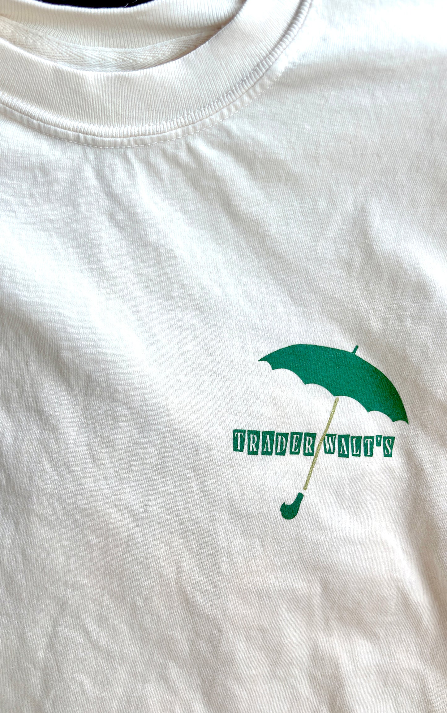 Vintage Jolly Holiday Riding Tours T-shirt with green carousel horse graphic and retro stripe background on cream cotton.